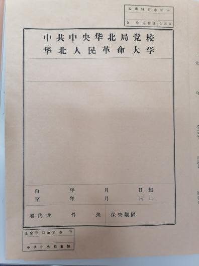 成人导航