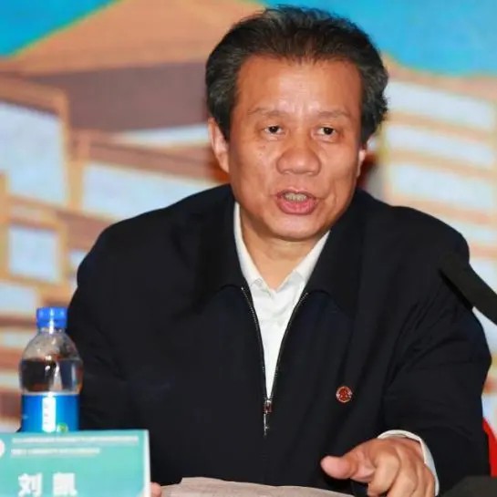 成人导航