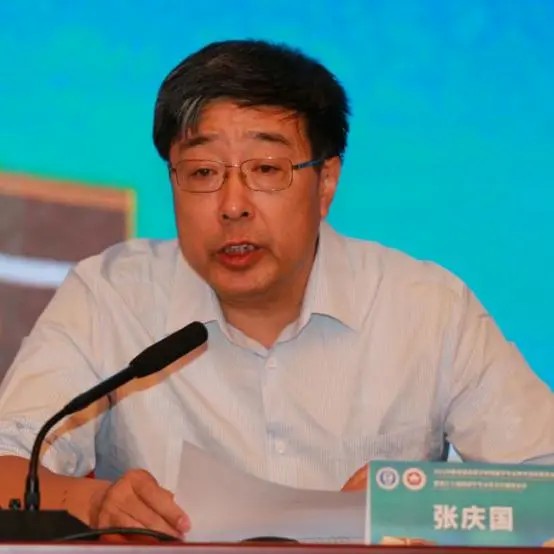 成人导航