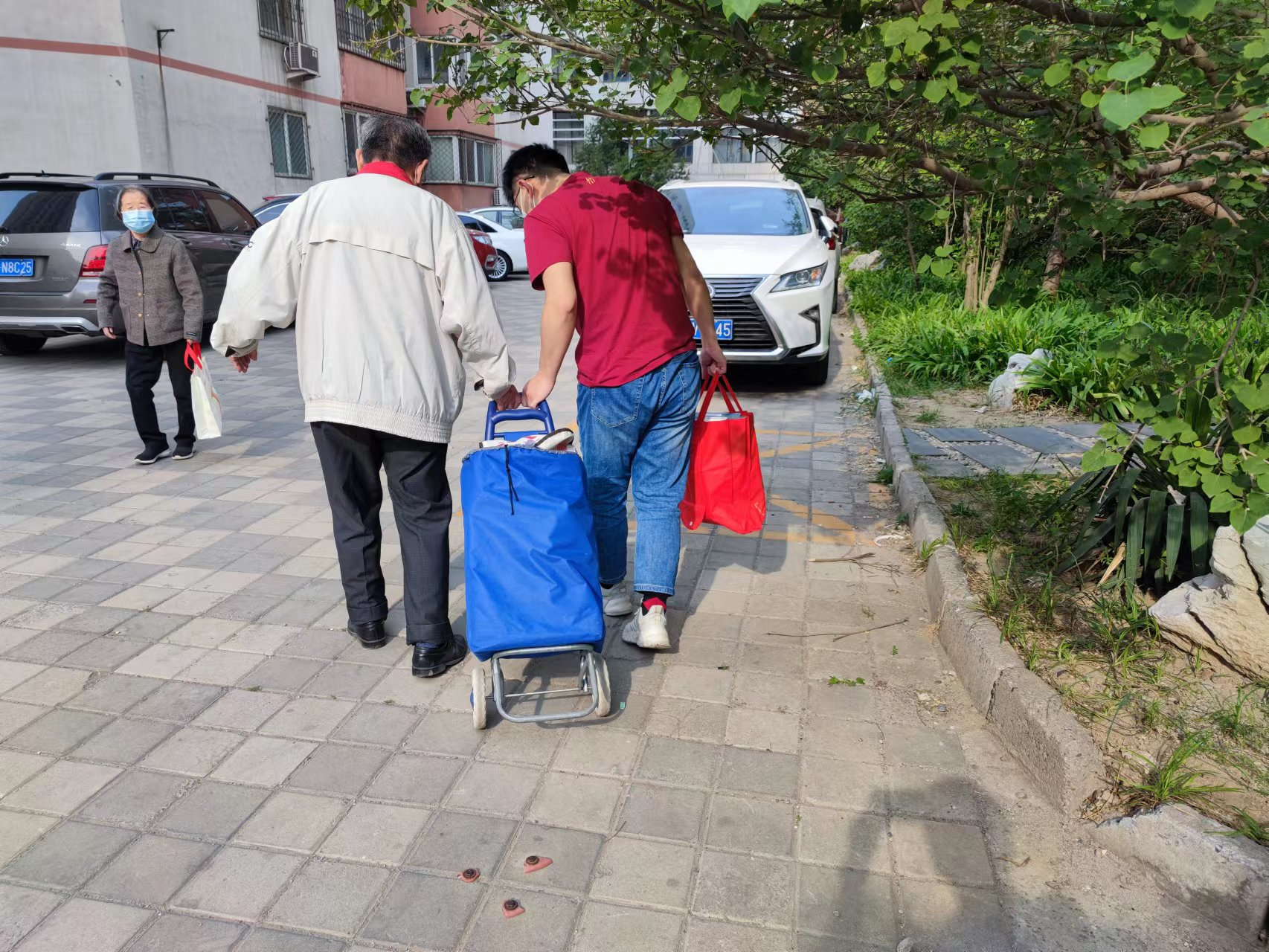 成人导航