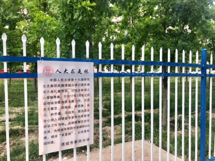 成人导航