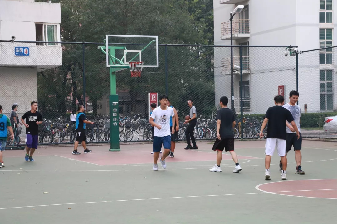 成人导航